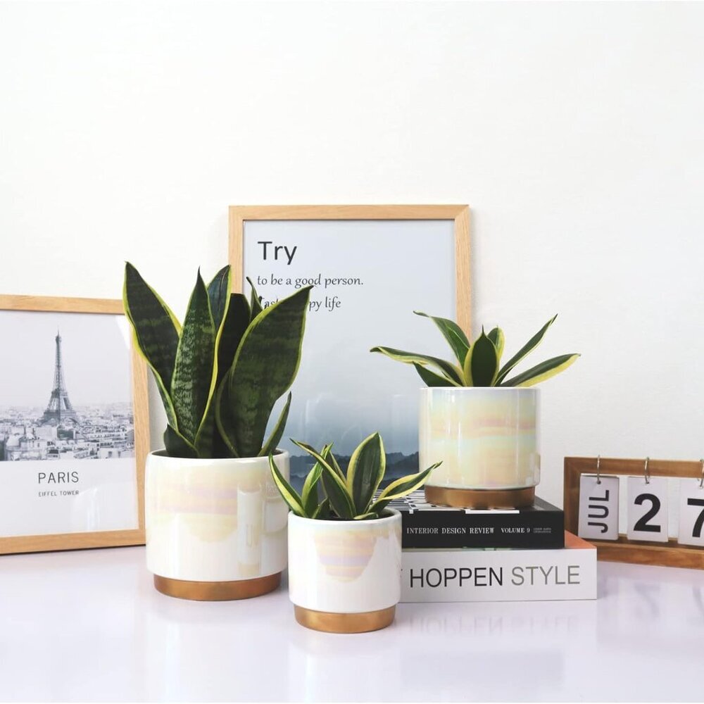 White Indoor Pots for Plants, Ceramic Planter with Drainage Hole, 6.0 inch+5.0 I - Picture 2 of 7